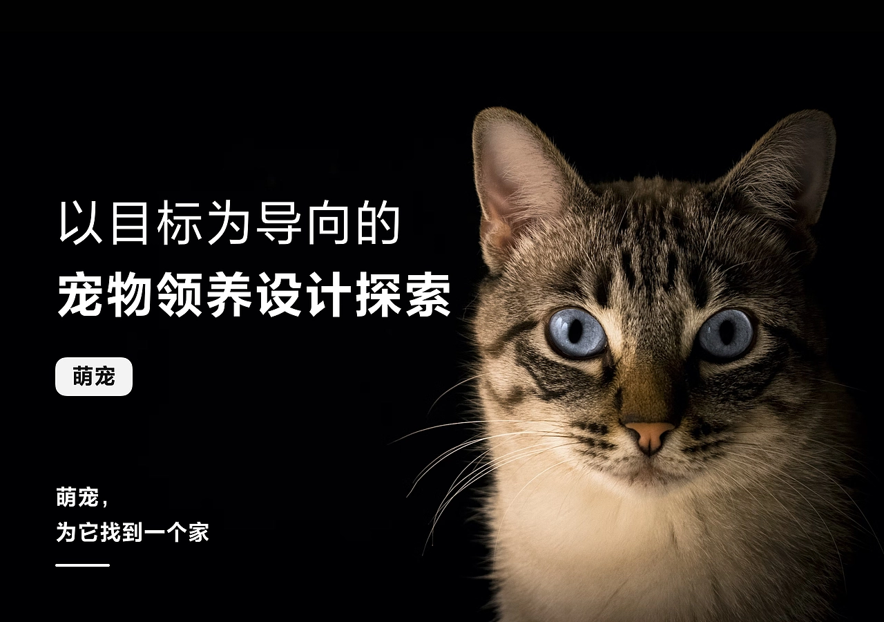 宠物领养社区「萌宠」概念封面:为它找到一个家